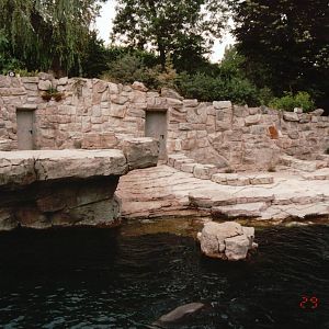 Frankfurt Zoo 2002 - Part of the Cape Fur Seal exhibit