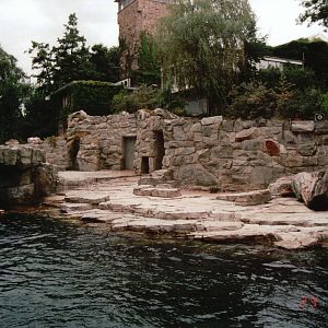 Frankfurt Zoo 2002 - Part of the Cape Fur Seal exhibit