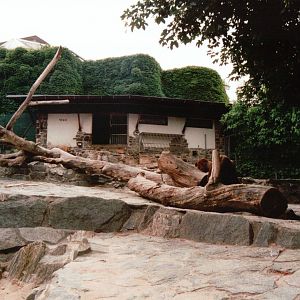Frankfurt Zoo 2002 - Mishmi Takin exhibit