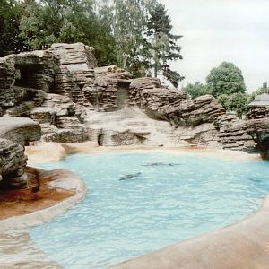Hagenbeck 1995 - Mixed Pinniped exhibit in the old Eismeer Panorama