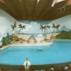 Hagenbeck 1995 - Dolphin and Sea Lion Show