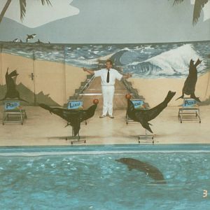 Hagenbeck 1995 - Dolphin and Sea Lion Show