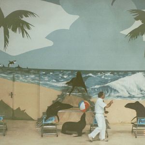 Hagenbeck 1995 - Dolphin and Sea Lion Show