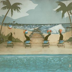 Hagenbeck 1995 - Dolphin and Sea Lion Show