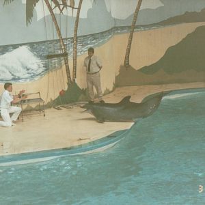 Hagenbeck 1995 - Dolphin and Sea Lion Show