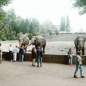 Hagenbeck 1995 - Front of the famous Asiatic Elephant exhibit