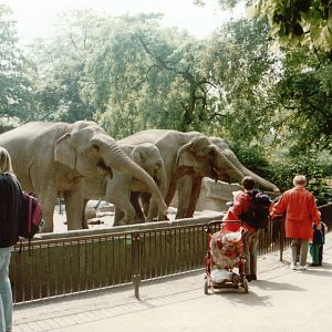 Hagenbeck 1995 - Front of the famous Asiatic Elephant exhibit