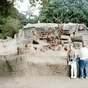 Hagenbeck 1995 - Front of the Hamadryas Baboon exhibit