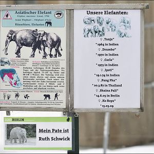 Elephantsign at Berlin Zoo