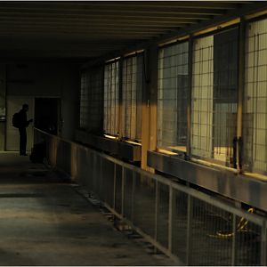 Carnivore house at Berlin Zoo