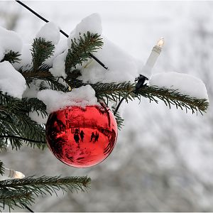 Christmas at Berlin Zoo