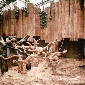 Krefeld Zoo 2002 - Indoor Ape exhibit