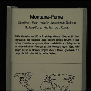 Montana-Puma-sign at Tierpark Berlin