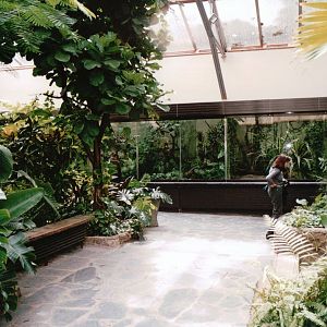 Leipzig Zoo 2002 - Inside the Aquarium