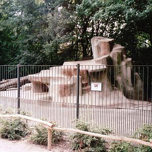 Leipzig Zoo 2002 - Dalls Sheep exhibit