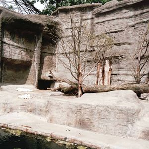 Leipzig Zoo 2002 - Arctic Wolf exhibit