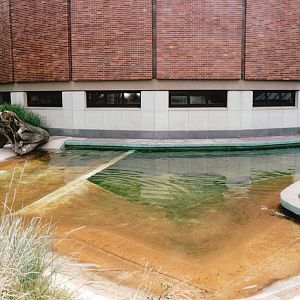 Leipzig Zoo 2002 - Baikal Seal exhibit