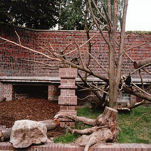 Leipzig Zoo 2002 - Left side of the Lion-tailed Macaque exhibit