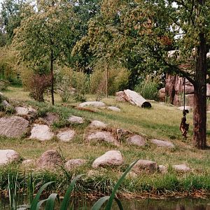 Leipzig Zoo 2002 - Part of the African Lion exhibit