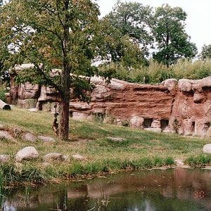 Leipzig Zoo 2002 - Part of the African Lion exhibit