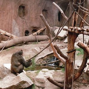 Leipzig Zoo 2002 - Gorilla indoor exhibit in Pongoland