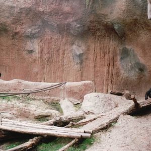 Leipzig Zoo 2002 - Gorilla indoor exhibit in Pongoland