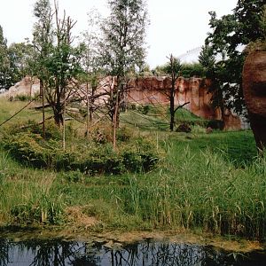 Leipzig Zoo 2002 - Outdoor exhibit in Pongoland