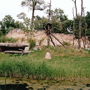 Leipzig Zoo 2002 - Outdoor exhibit in Pongoland