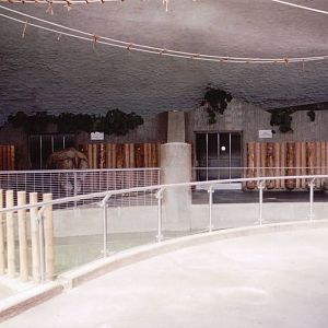 Hellabrunn 1999 - Indian Rhinoceros stalls in the Pachyderm Building