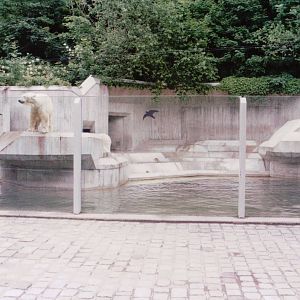 Hellabrunn 1999 - Front of the Polar Bear exhibit