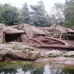 Hellabrunn 1999 - Rocky Mountain Goat exhibit