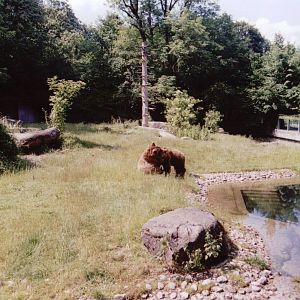 Hellabrunn 1999 - Part of the great Brown Bear exhibit