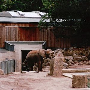 Osnabrück Zoo 2002 - Part of the African Elephant exhibit