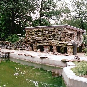 Osnabrück Zoo 2002 - Humboldt Penguin exhibit