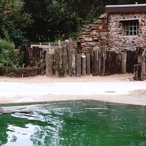 Osnabrück Zoo 2002 - Part of the Common Seal exhibit