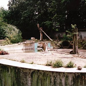 Osnabrück Zoo 2002 - Mixed Bear exhibit