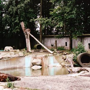 Osnabrück Zoo 2002 - Mixed Bear exhibit