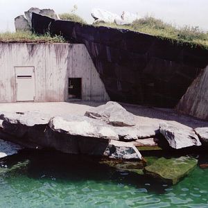 Stuttgart 1999 - Second Polar Bear exhibit