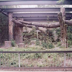 Stuttgart 1999 - Feline enclosure