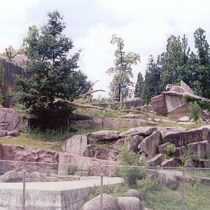Stuttgart 1999 - Rocky Mountain Goat exhibit