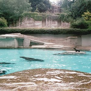 Wuppertal Zoo 2002 - California Sea Lion exhibit and Polar Bear exhibit