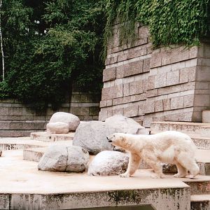 Wuppertal Zoo 2002 - Part of the Polar Bear exhibit