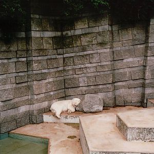 Wuppertal Zoo 2002 - Part of the Polar Bear exhibit