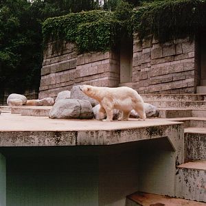 Wuppertal Zoo 2002 - Part of the Polar Bear exhibit