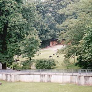 Wuppertal Zoo 2002 - General view on the zoo grounds