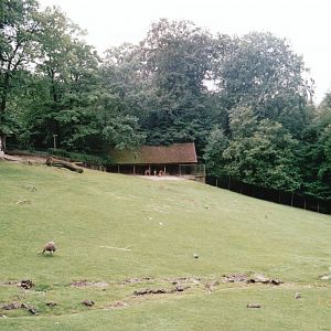 Wuppertal Zoo 2002 - Mixed South America exhibit