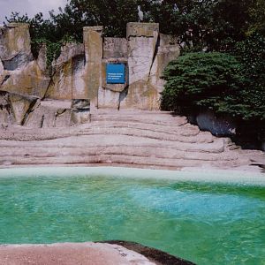 Artis Zoo 1999 - California Sea Lion exhibit