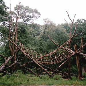 Burgers Zoo 2002 - Either the Gorilla or Chimpanzee outdoor exhibit
