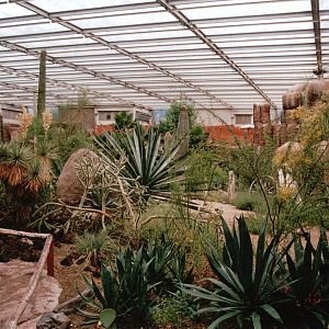 Burgers Zoo 2002 - General view inside Burgers Desert