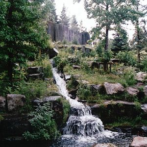 Emmen Zoo 2002 - Part of the Kodiak Bear exhibit